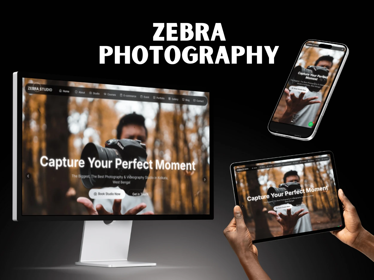 Zebra Photography