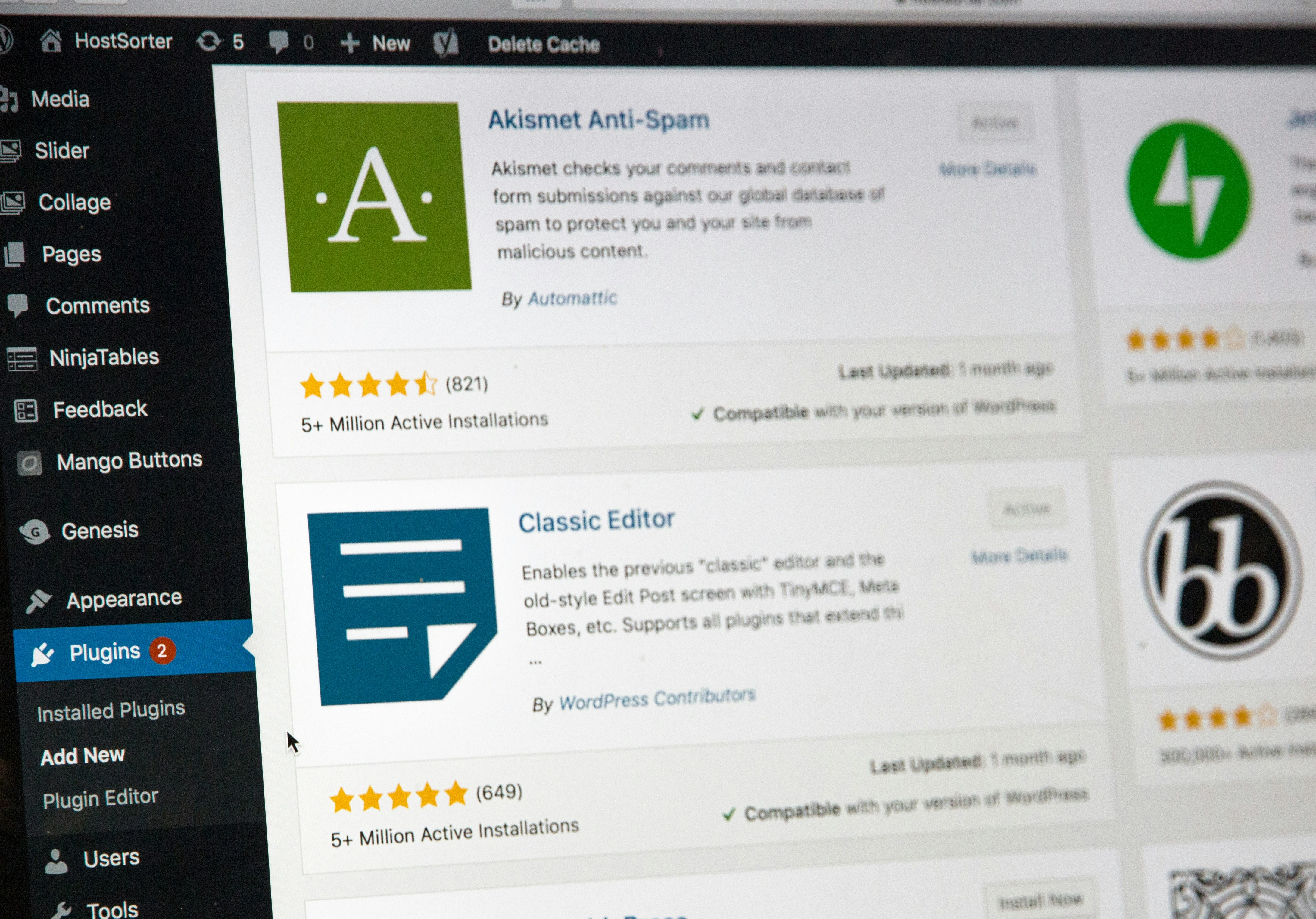 WordPress Development